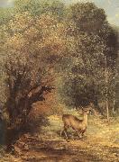 Gustave Courbet Deer oil